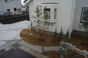 DSC04290