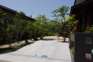 DSC06223
