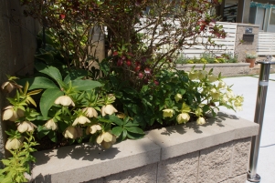 DSC06338